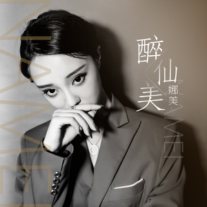 醉仙美 (DJ版)